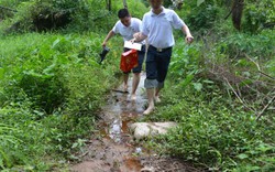 Ảnh: Lên nương, xuống đồng tặng quà Trung thu cho trẻ em nghèo Quảng Ninh