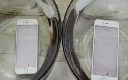 Video: iPhone 6S và 6S Plus vẫn "sống" khi ngâm trong nước 1 giờ