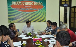 Kết quả chung khảo cuộc thi viết Tự hào nông dân Việt Nam lần 2