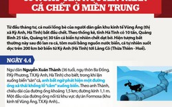 Infographic toàn cảnh vụ Formosa xả thải ra biển miền Trung