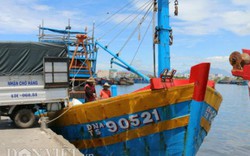 Cảng cá lớn nhất miền Trung: Giá cá rớt thê thảm sau vụ Formosa