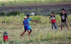 Làng quê trong lành, yên ả sau khi Formosa tạm dừng hoạt động