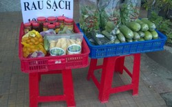 Cẩn thận với mác "Rau sạch"