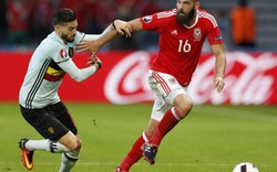 Tuyển thủ xứ Wales hoãn đám cưới vì EURO 2016