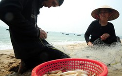 Ngư dân miền Trung được hỗ trợ việc làm sau vụ cá chết