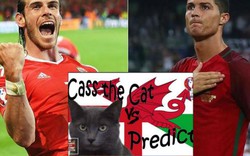 Tiên tri Cass dự đoán kết quả Bồ Đào Nha vs Xứ Wales (2h)