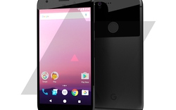 Lộ thiết kế điện thoại Nexus 2016