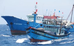 Tàu cá Việt Nam bị đâm chìm: Tường trình đặc biệt từ Hoàng Sa