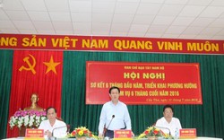 Phó TTg Vương Đình Huệ: Tây Nam Bộ cần nỗ lực phát triển diện tích gieo trồng