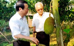 Nguyên Phó Thủ tướng Nguyễn Ngọc Trìu đặt nền móng cho kinh tế vườn