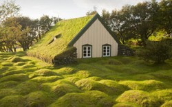 Những ngôi nhà mái cỏ đẹp như tranh vẽ ở Iceland