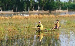 Sang Campuchia bắt cá, 1 thanh niên bị bắn chết