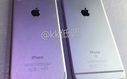 Ảnh thực tế iPhone 7 đọ dáng bên iPhone 6s