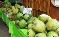 Chợ thực phẩm xanh tử tế hút khách Sài Gòn