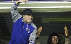 Dẫn dắt ĐT Argentina, Maradona không cần hưởng lương
