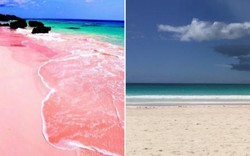 Sự thật về bãi biển cát hồng đẹp như mơ ở Bahamas