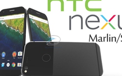 HTC Nexus Marlin lần đầu lộ ảnh thực tế