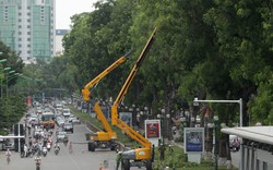 Xem "hươu cao cổ" 32m cắt tỉa cây xanh tại Hà Nội