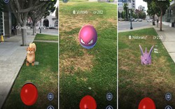 Những sự cố hi hữu khi chơi game Pokémon GO