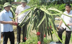 Tăng cung cấp thông tin và phản ánh trăn trở của nông dân