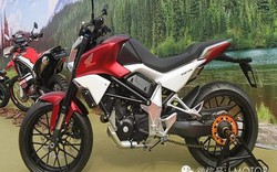 Honda CBR250RR bản thể thao chồm lỡ lộ ảnh