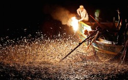 "Đã mắt" với màn đánh cá bằng lửa đẹp mê hoặc ở Đài Loan