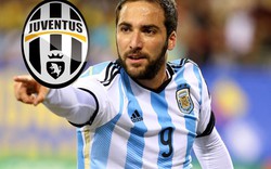 Higuain chính thức trở thành cầu thủ đắt giá nhất Serie A