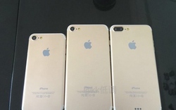 Bộ 3 iPhone 7, 7 Plus và 7 Pro xuất hiện cùng lúc