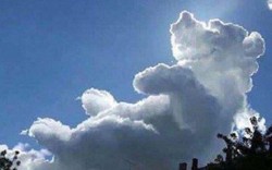 Đám mây giống hệt chú gấu nằm ngửa trên bầu trời