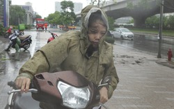 Chùm ảnh: Người Hà Nội vật vã chống chọi bão số 1