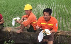 Công nhân ăn cơm tại ruộng xử lý sự cố điện sau bão số 1