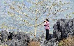 Hà Giang hùng vĩ trong "Hành trình cao nguyên đá"