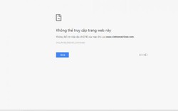 Trang web của Vietnam Airlines cũng bị tê liệt