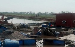 Cận cảnh thiệt hại nặng nề tại Nam Định hậu bão số 1