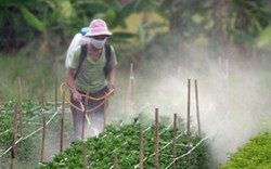 "Nước ta là nước nông nghiệp sao chúng ta lại phải nhập nhiều thế?”