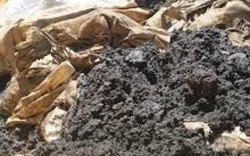 Vụ chôn chất thải: Sở TN&MT Hà Tĩnh cấp “bảo bối” cho Formosa?