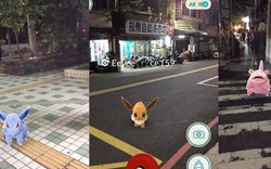 Cảnh sát Đài Loan phạt 349 tài xế vì chơi Pokemon