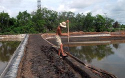 Loạn thị trường thuốc thú y thủy sản: Có “vấn đề lớn” trong cơ chế quản lý!