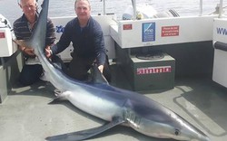 Lần đầu ra khơi, câu được cá mập xanh lớn nhất nước Anh