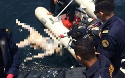 Tìm thấy thi thể ngư dân Việt Nam bị mắc kẹt dưới biển Malaysia