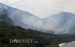 Đà Nẵng: Huy động 500 người chữa cháy ở Rừng Nam Hải Vân
