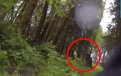 Chó đối mặt quái vật bí ẩn trong rừng ở Mỹ