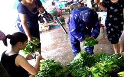 Hà Nội: Giá rau xanh tăng 50% trước cơn bão số 3