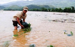 Hậu bão số 3: Tiếp tục cảnh báo lũ ống, lũ quét