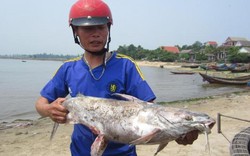 “Yêu cầu Formosa thực hiện đúng cam kết đền bù”