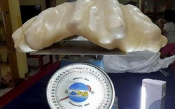 Ngư dân Philippines phát hiện ngọc trai khổng lồ 34 kg