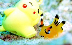 Sinh vật giống Pokémon gây sốt ở Nhật Bản