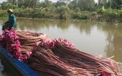 Làm du lịch ở khu bảo tồn