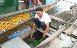 Cá lồng sông Son “lên đời” đặc sản