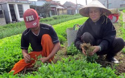 Rau sạch - đam mê và... nản lòng